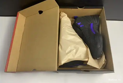 CT8013-005 Jordan Black Retro Air Dark 12 Concord CT8013-005 0501